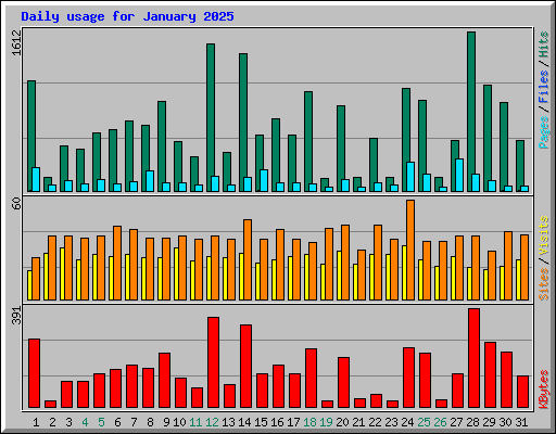Daily usage for January 2025