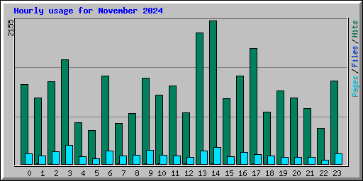 Hourly usage for November 2024