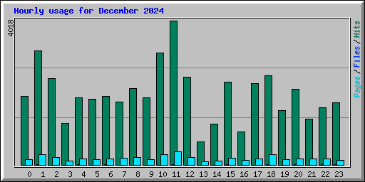 Hourly usage for December 2024