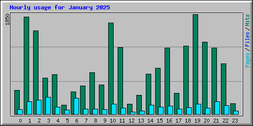 Hourly usage for January 2025
