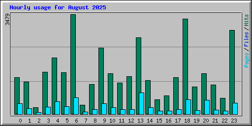 Hourly usage for August 2025